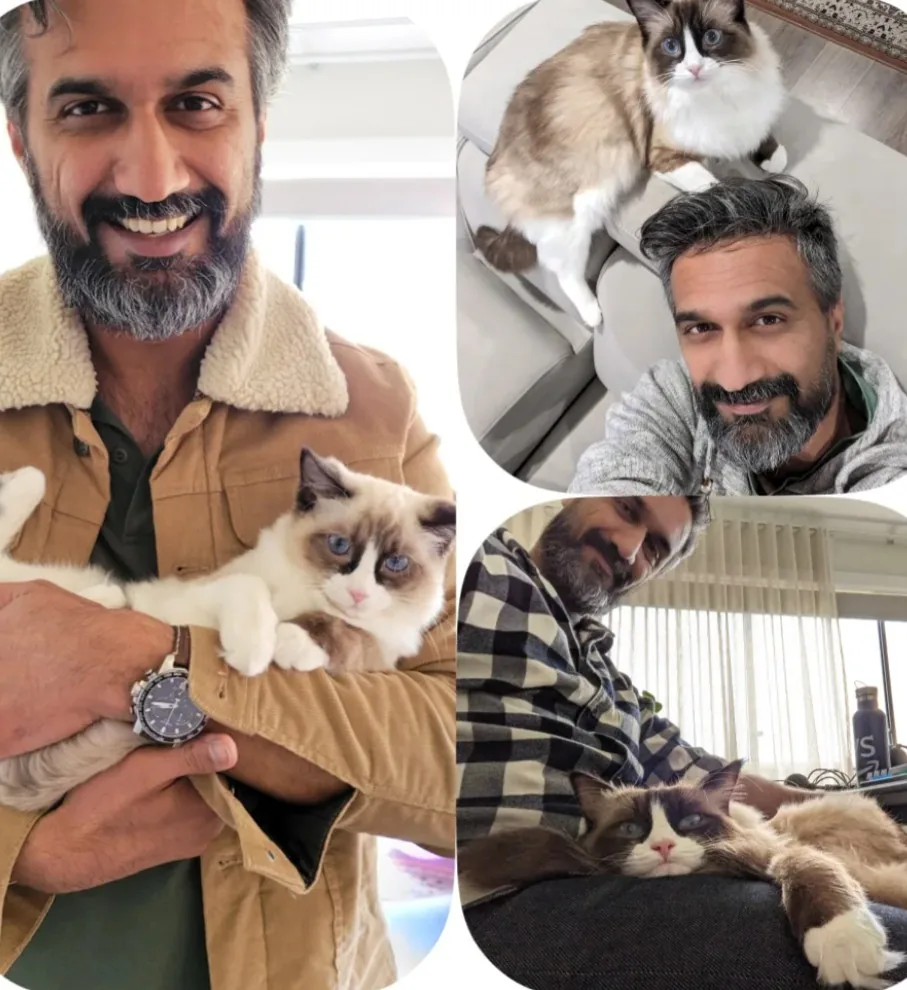 The Meow Minders family at home with their own and guest cats